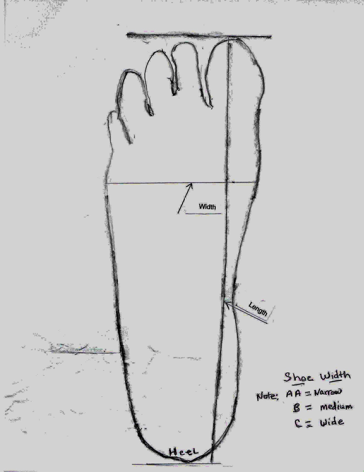 Diagram of a foot with measurements for shoe width, length, and heel on a white background.